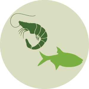Fish, Aquatic invertebrates