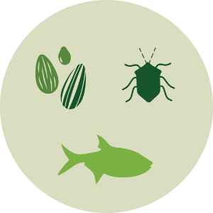 Fish, insect, seed