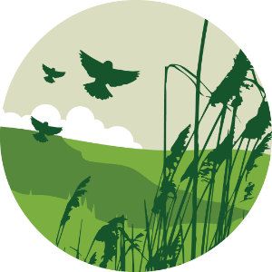 Grassland & Scrub