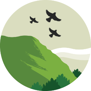 Mountain Forest