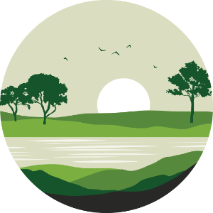 Swamp Forest