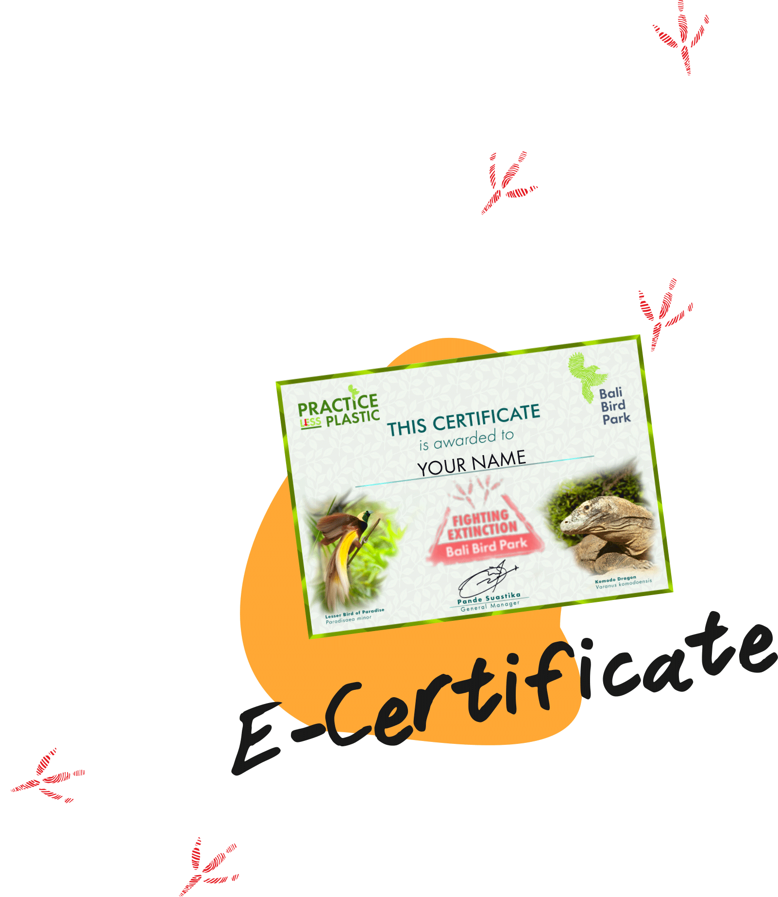 https://v2.balibirdpark.com/images/fe/join-form-button-fe